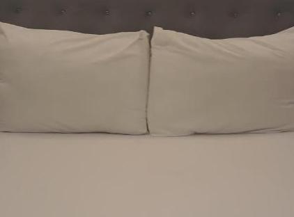 تور هتل کاخ نار استانبول تورنگار