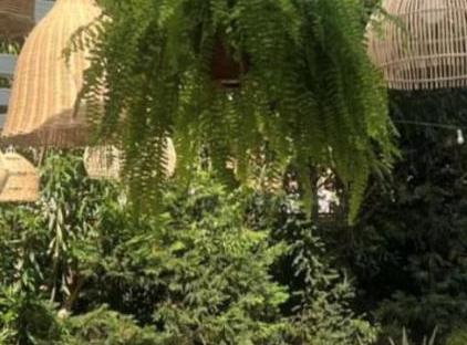 تور هتل سرگذاشت بیوک‌آدا استانبول تورنگار