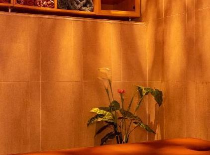 تور هتل ویندهام استانبول شهر قدیم تورنگار