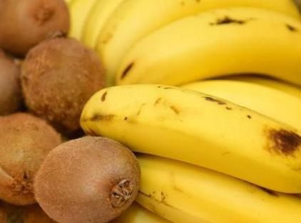 تور هتل فارینا بای سیگنو استانبول تورنگار