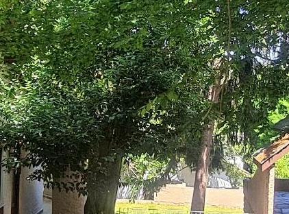 تور هتل کانتری کلاب پولونزکوی استانبول تورنگار