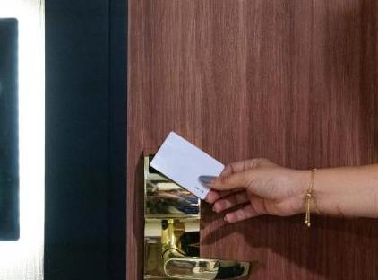 تور هتل و اسپا فور سایدز لیون تکسیم استانبول تورنگار