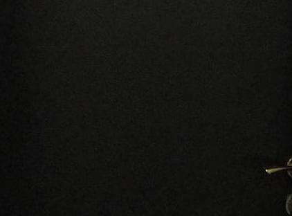 تور هتل پالمیه تکسیم استانبول تورنگار