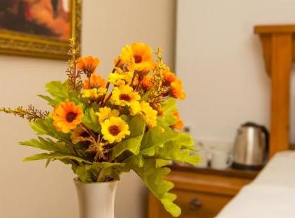 تور هتل پرتاب بندر استانبول تورنگار