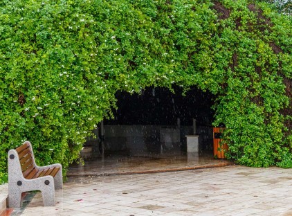 تور کیش هتل فلامینگو تورنگار