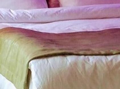 تور هتل چز بوره استانبول تورنگار