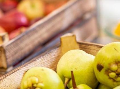 تور هتل اربوی استانبول تورنگار