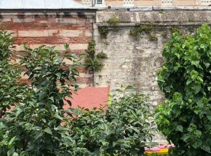 تور هتل زانادو استانبول تورنگار