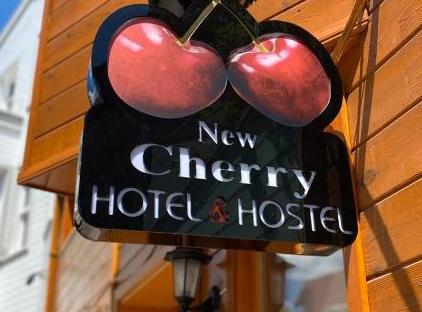 تور هاستل هتل نیو چری استانبول تورنگار