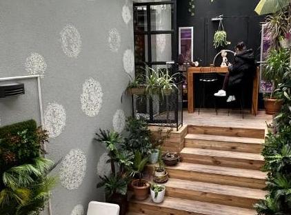 تور هتل بلک آرت استانبول تورنگار