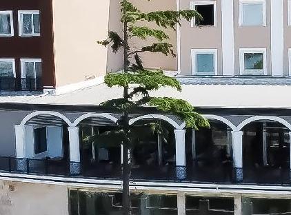 هتل د ساین دیرمن استانبول تورنگار