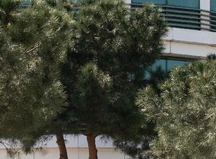 تور هتل زوم استانبول تورنگار