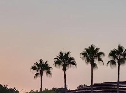 هتل لارا باروت کالکشن - اولترا آل اینکلوسیو تورنگار