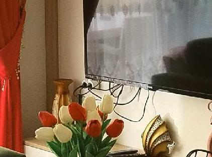 هتل لول تورنگار