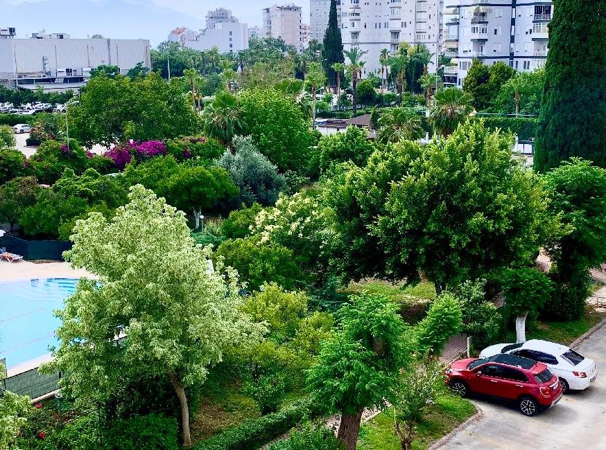 لیدرکنت تورنگار