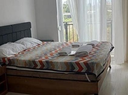 آپارتمان شماره ۲+۱ تورنگار