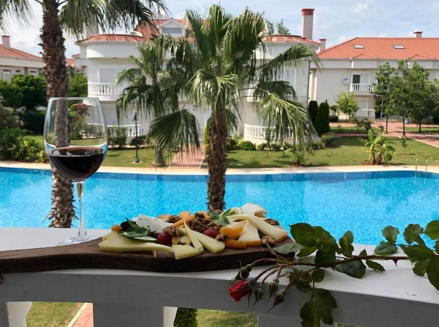 بلو هومز (F7) تورنگار