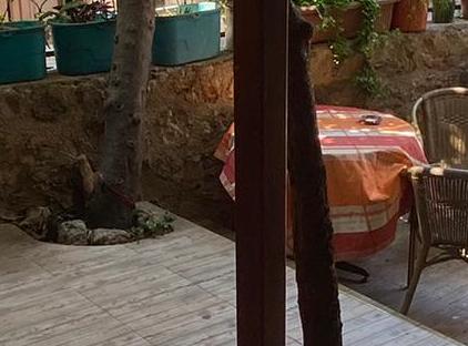 کَمل آپارت تورنگار