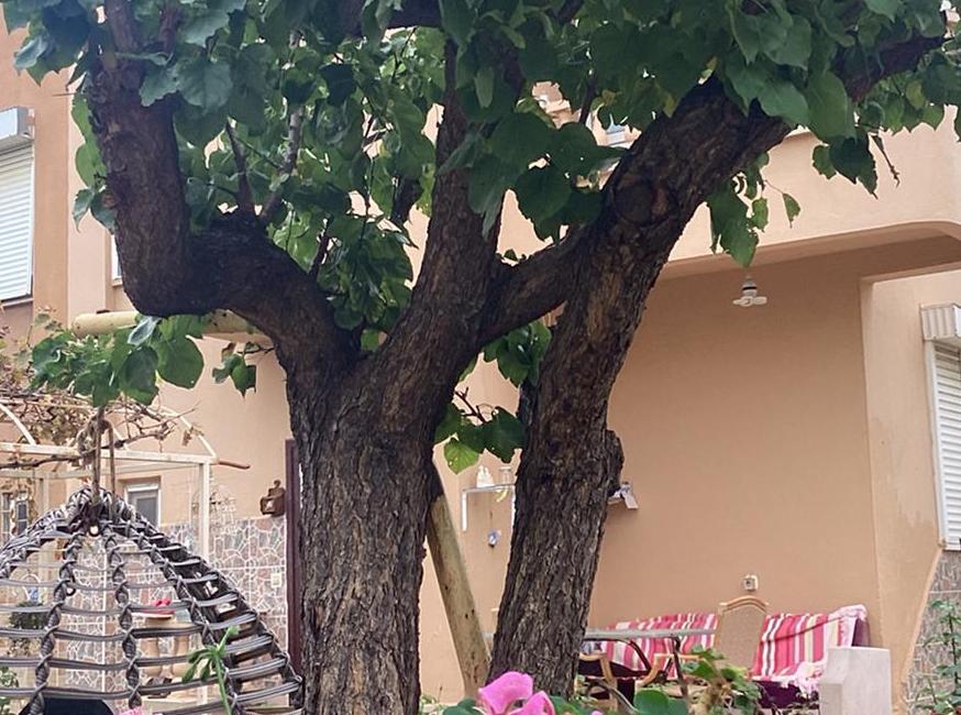 خانه رمانتیک تورنگار