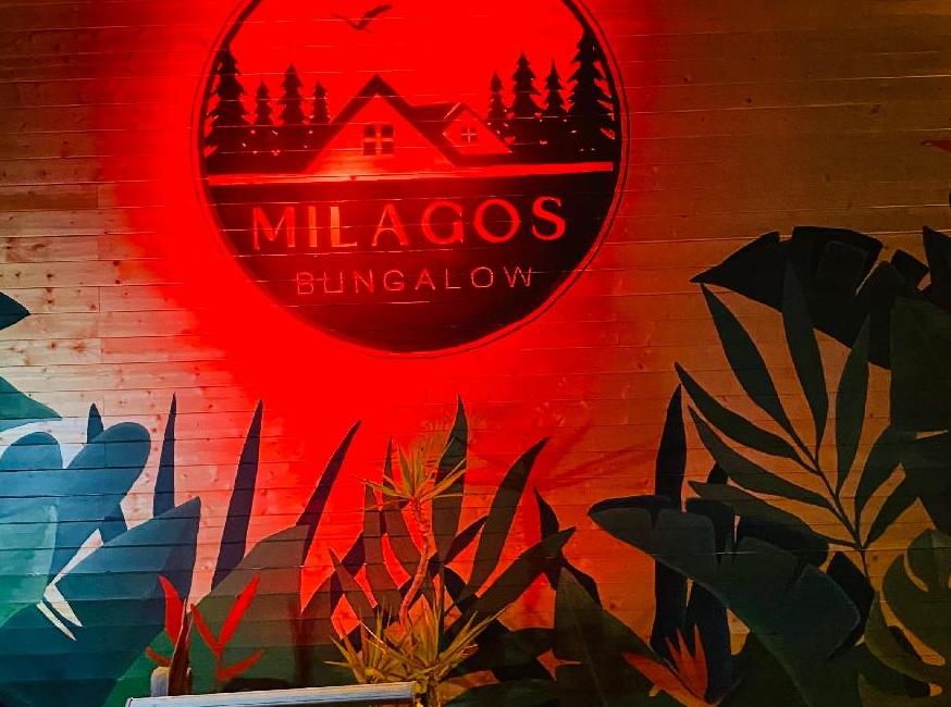 بونگالو میلگوس تورنگار