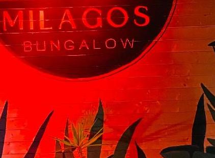 بونگالو میلگوس تورنگار