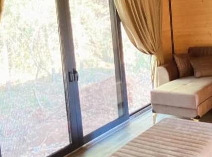 بونگالو میلگوس تورنگار