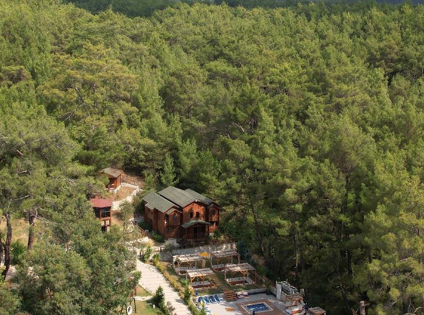 Babylontown Otel تورنگار