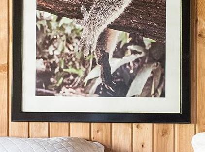 Luna Dorada Hotel تورنگار