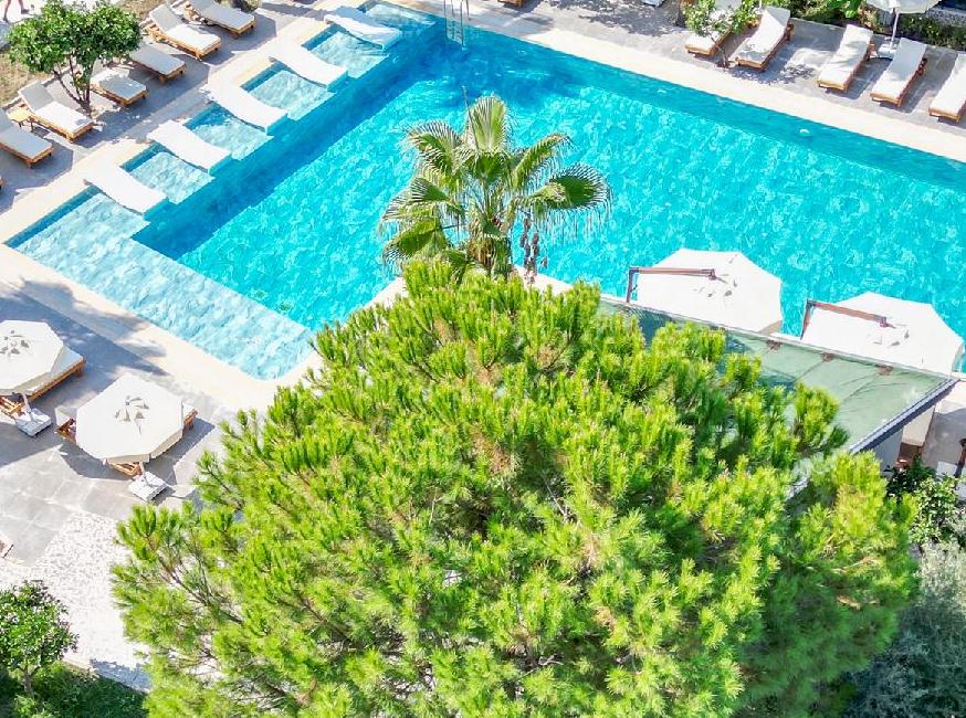 Forest İn Hotel تورنگار