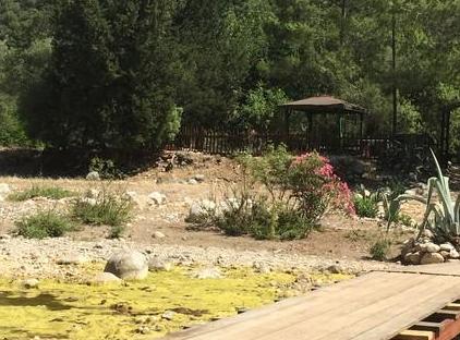 Canario Bungalows تورنگار