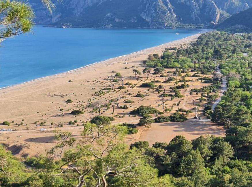 Chimera Park Apart تورنگار