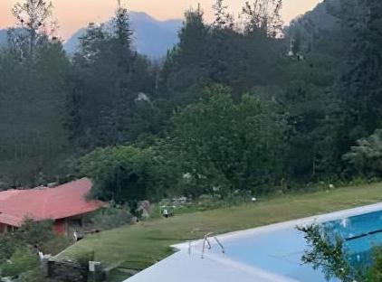 Trinitys Forest Bungalows تورنگار