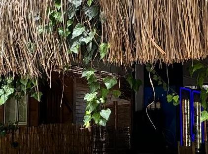 OLİMPOS MERCAN BUNGALOW تورنگار