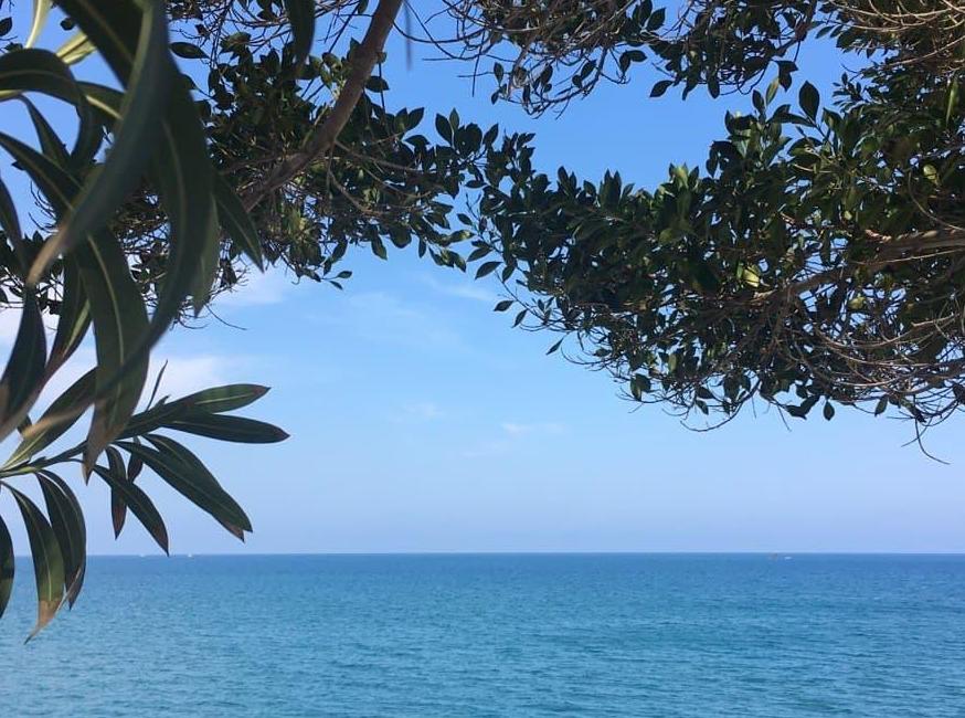 Barby Butik Otel تورنگار