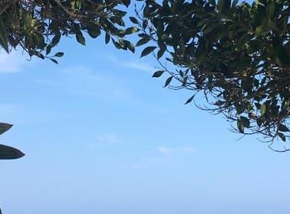 Barby Butik Otel تورنگار