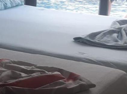 Nature Resort 1+1 Apartment تورنگار