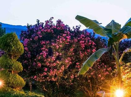 Etenna Bungalow Hotel تورنگار