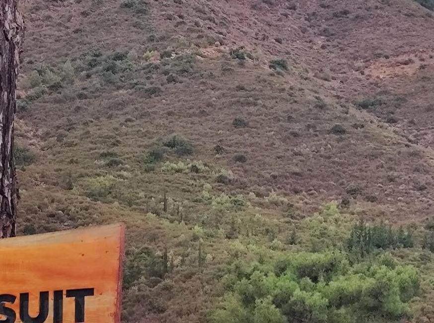 Lalin Suit Apart تورنگار